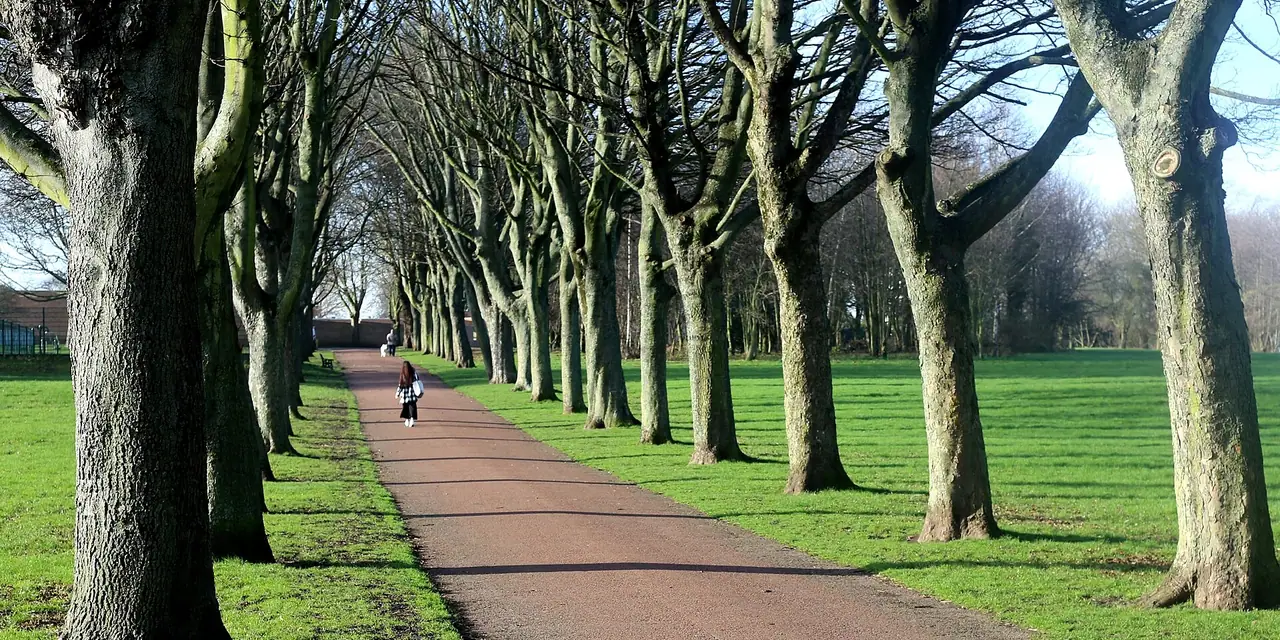 Rotherham