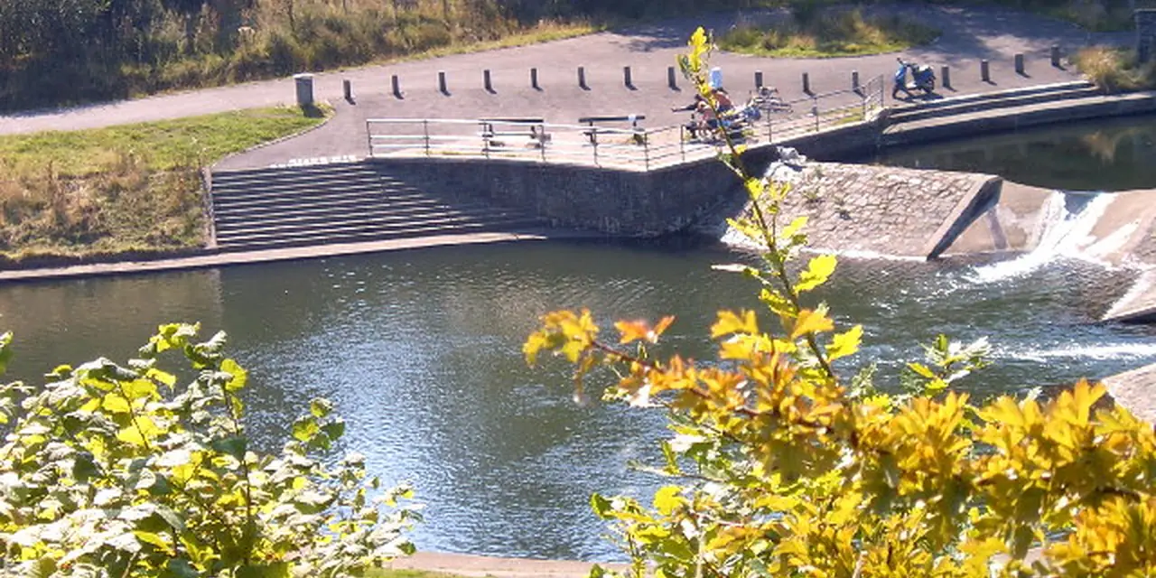Treharris